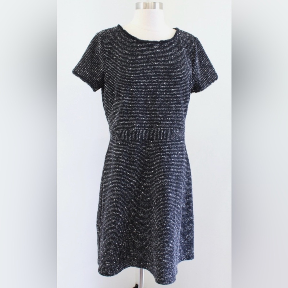 LOFT Dress Knee Length Cinched Waist Fringed Cap Sleeves Black and White Size 8